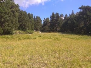 Estany Sec