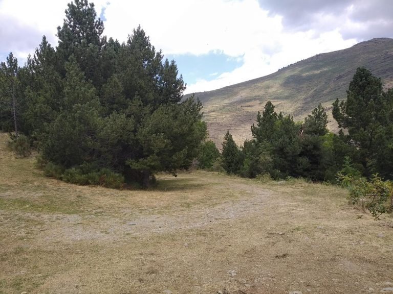 Seguim baixant per la pista