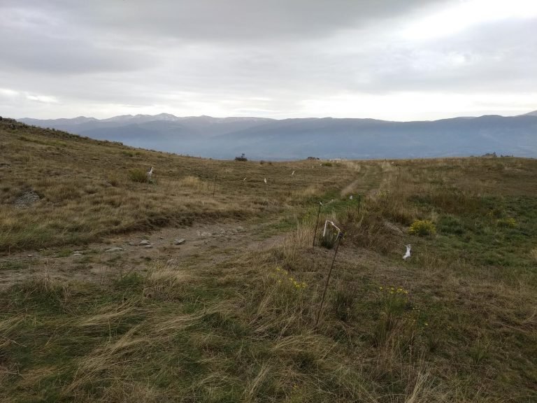 Cap a la dreta i comença la baixada