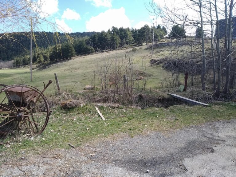 La Molina (Barri de l'Estació). Passarel·la. Sortida