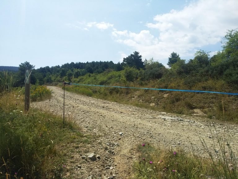 3er vailet. Arribem a la pista forestal que ve de Queixans cap el Pla de les Forques