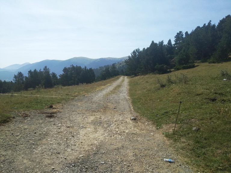 Vailet per entrar a la pista forestal