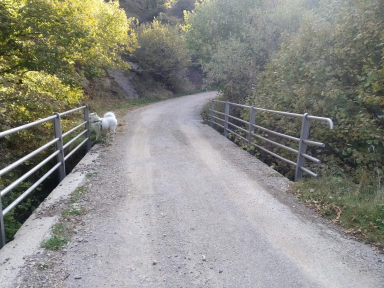 Pont sobre el Segre