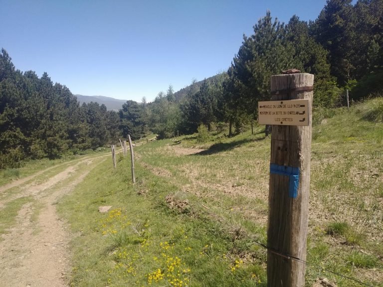 Cartell del Bucle du lion de llo. Comença la tornada
