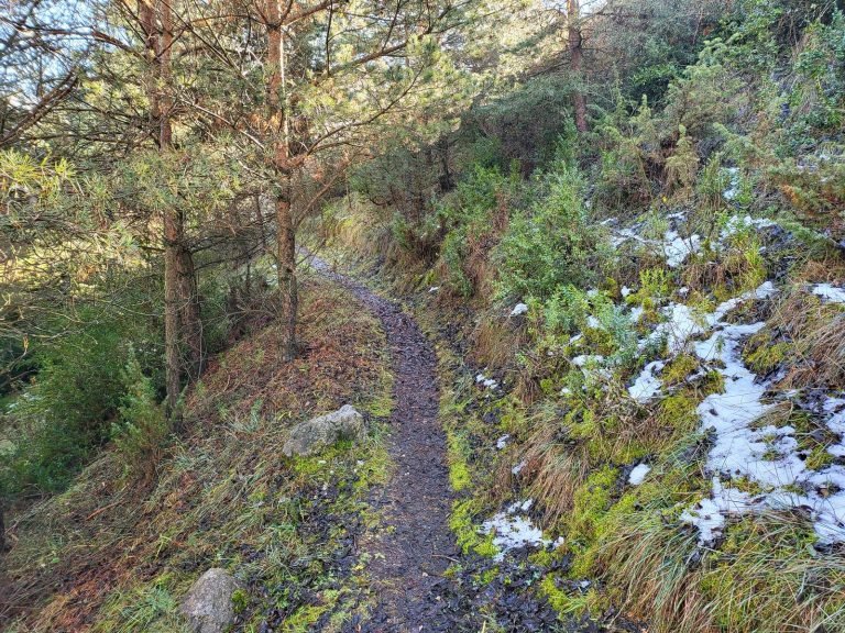 Seguim el camí de baixada