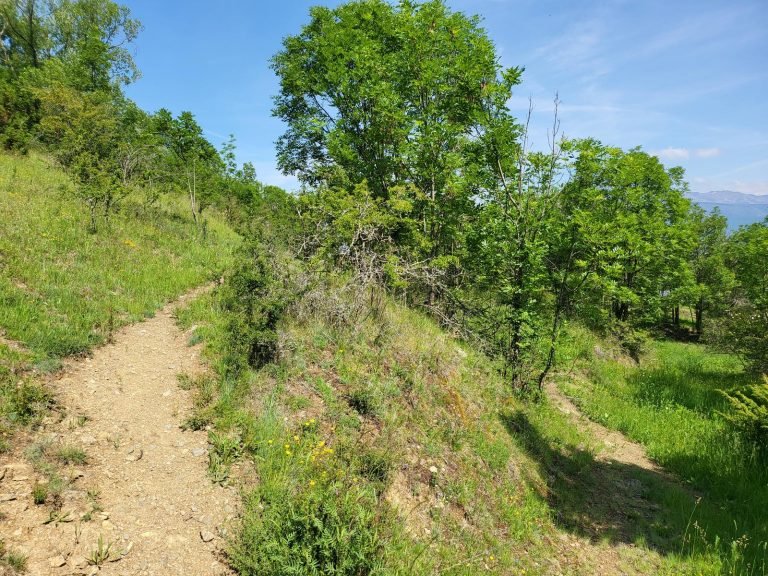 Pel camí de l'esquerra