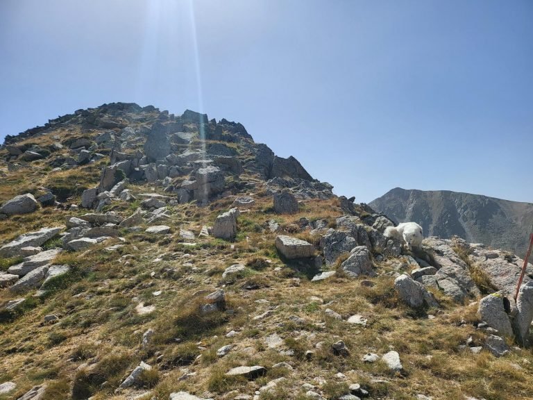 Últim coll per coronar el cim. Tombem a l'esquerra i seguim fins dalt de tot