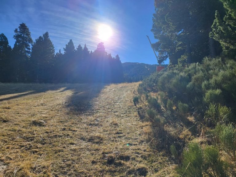 Pista blava petite combe