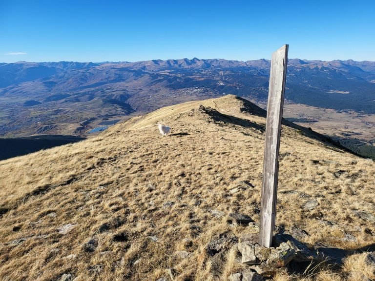 Passem pel costat d'una estaca