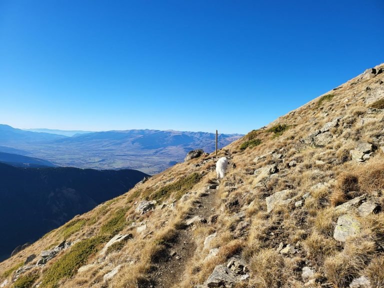 Passem pel costat d'una estaca. Ens dirigim cap el nord