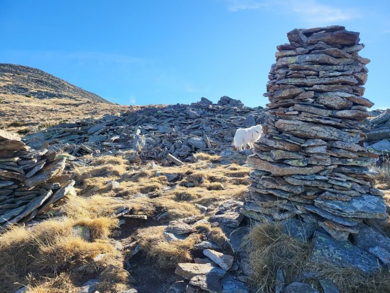 Passem per unes ruines