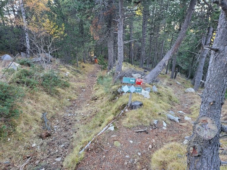 Pel camí de l'esquerra
