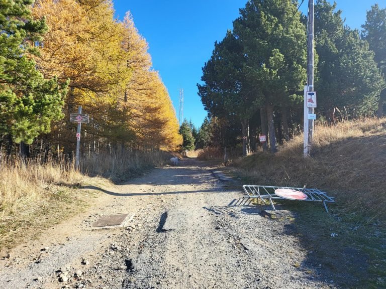 Prenem la pista que comença al final de l'aparcament