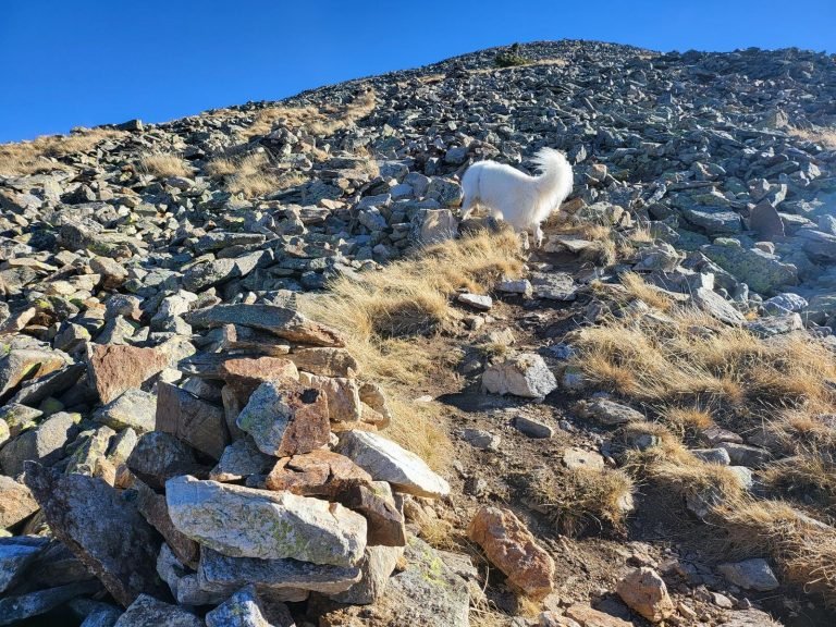 Seguim el camí amb pedres apilades fins el cim
