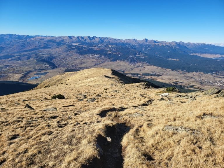 Seguim el camí de baixada