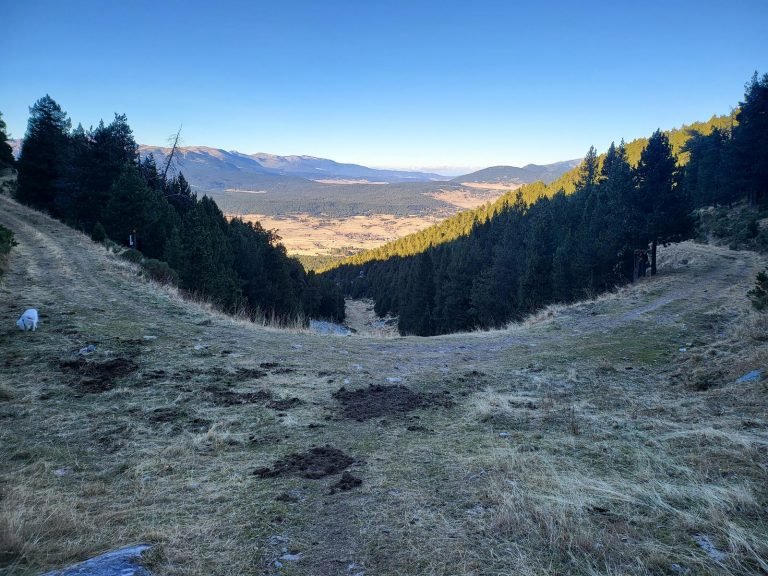 Travessem la pista i seguim recte avall