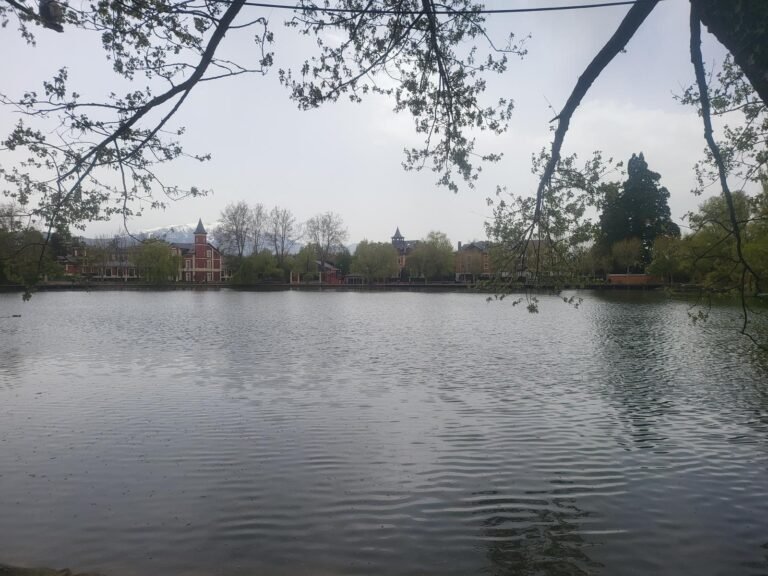 Estany de Puigcerdà