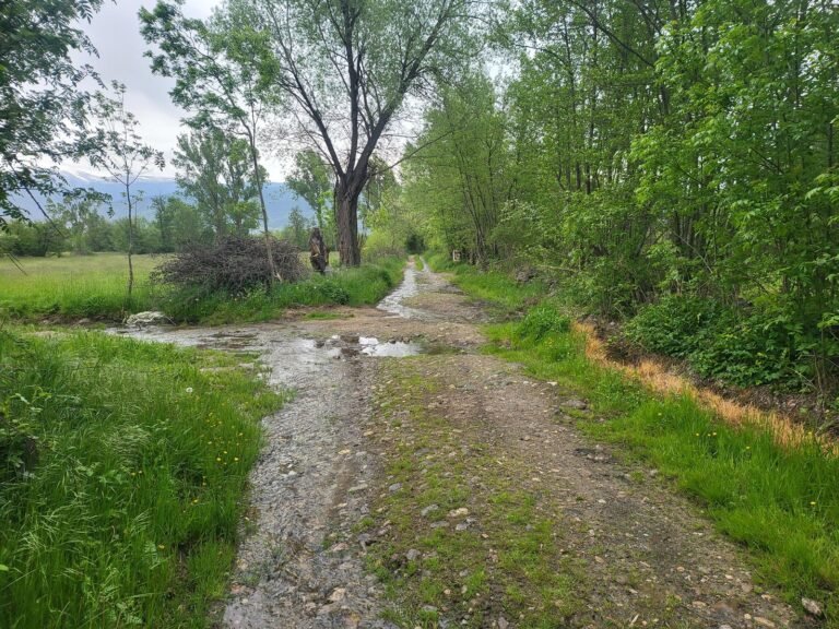 Seguim el camí recte