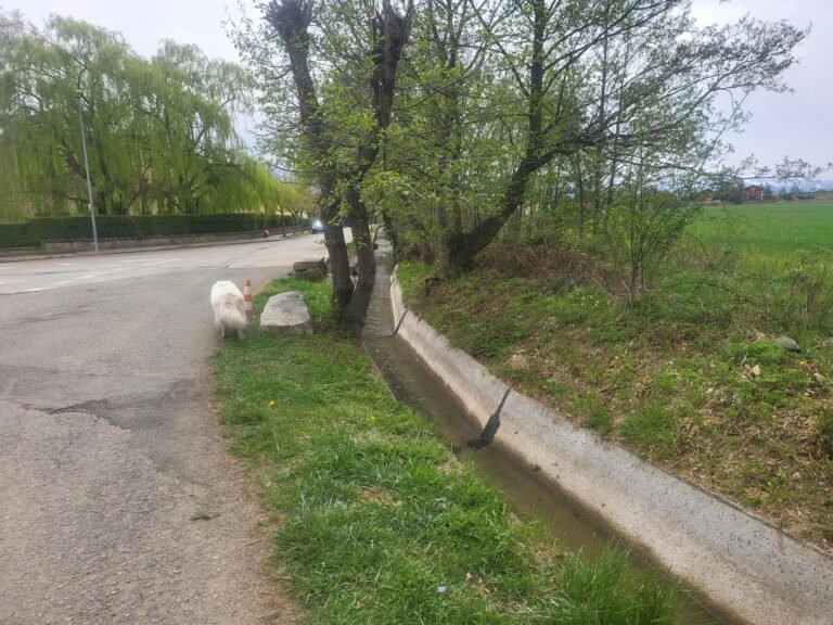 Seguim pel costat de la sèquia