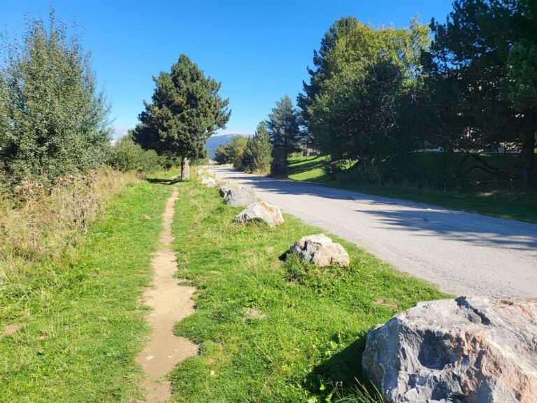 Anem pel caminet del voral