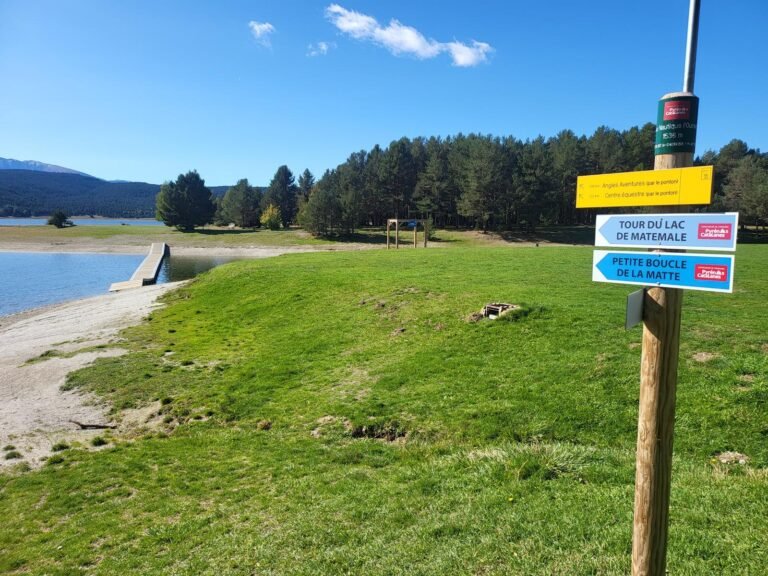 Ens dirigin cap a la passarel·la