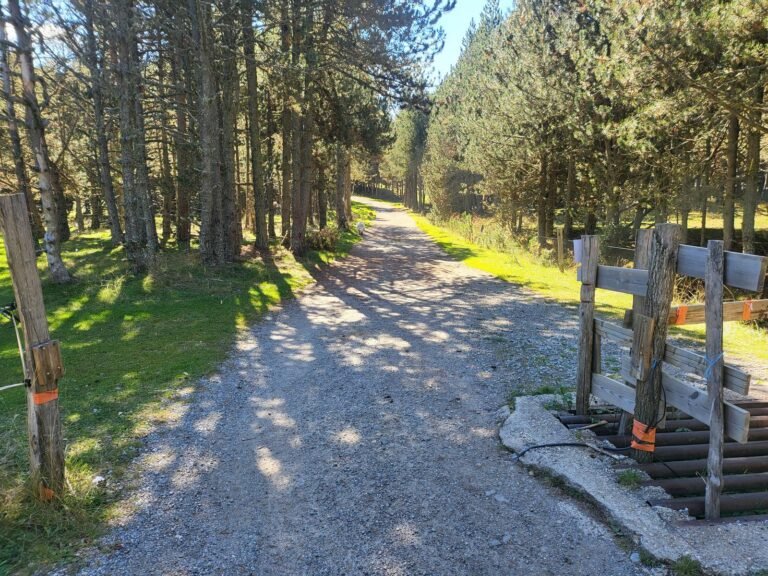 Passem per una porta de fusta