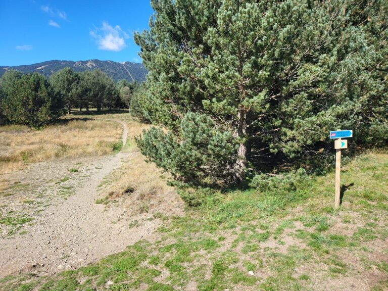 Prenem el camí de l'esquerra. No fem el bucle de la Matte