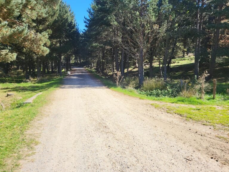 Seguim recte per la pista