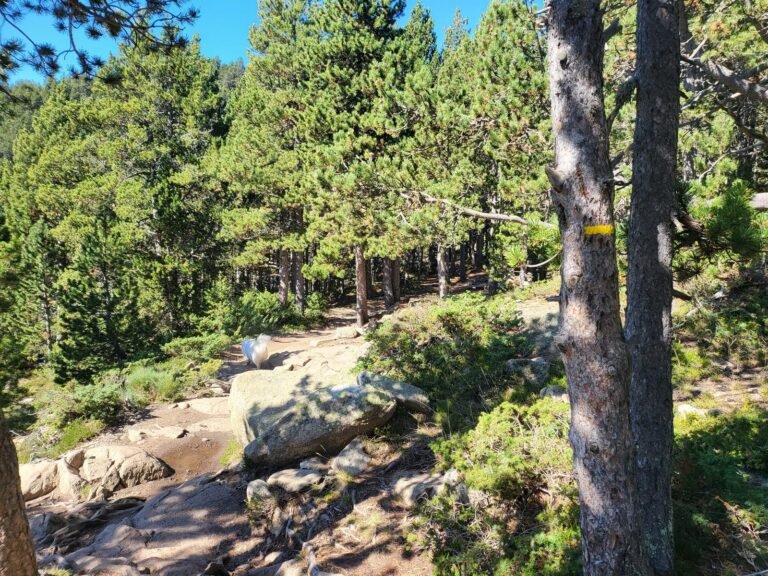 Les marques grogues indiquen el camí
