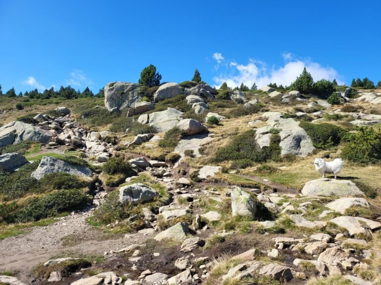 Seguim el camí de l'esquerra