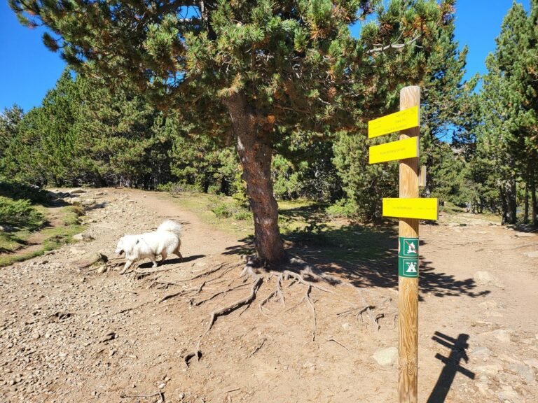 Seguim el camí del bucle dels Estanys del Carlit