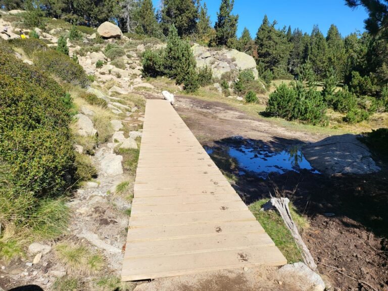 Tercera passarel·la